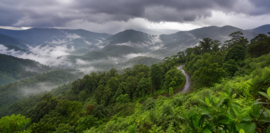 Agumbe