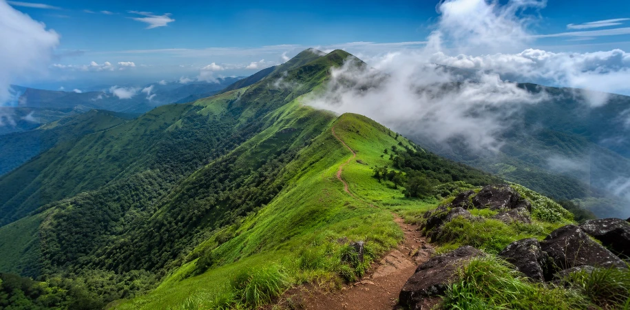 Kodachadri Trekking Point